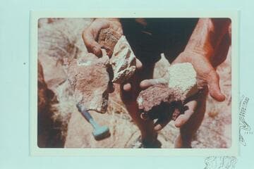 Rock samples from Stanton's Marble Pier at Mile 24.5 left bank in Marble Canyon.  Limestone to the left, sandstone to the right (right being hand with just two rocks in it)