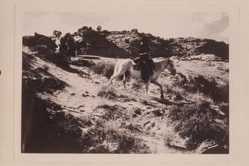 Tobe Owl leads the pack string down into the west side of Nasja Creek from the mesa north of Anasazi Canyon