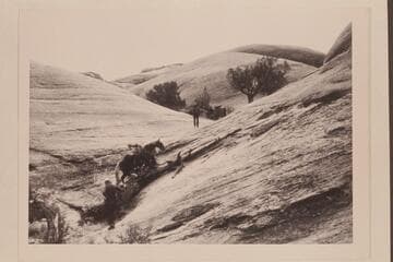 Trail out to west from Nasja Creek