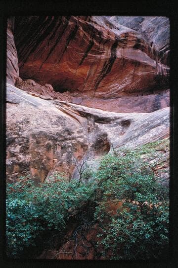 Mile 132.35, left bank