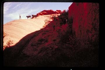 Top of divide between Nasja and Bald Rock Creeks