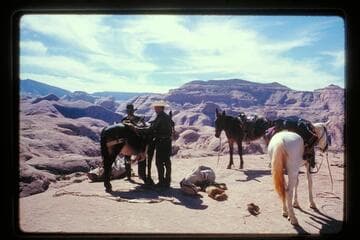 Repacking on divide between Moepitz and 71.5; Sid Whiskers Butte