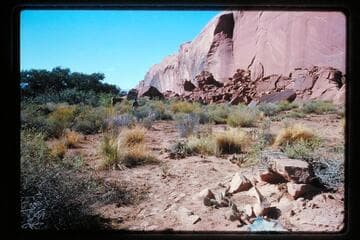 Down the bar from Stanton's chimney