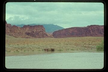 Ticaboo and Cass' lower cabin
