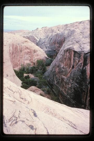 Gorge below bridge, tributary, Halls Creek above, Baker's Ranch