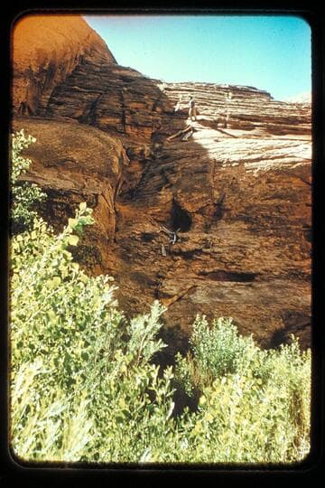 Trail out of West Canyon, left bank, 3 miles from Colorado River
