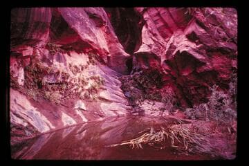 Fall in Moepitz Canyon