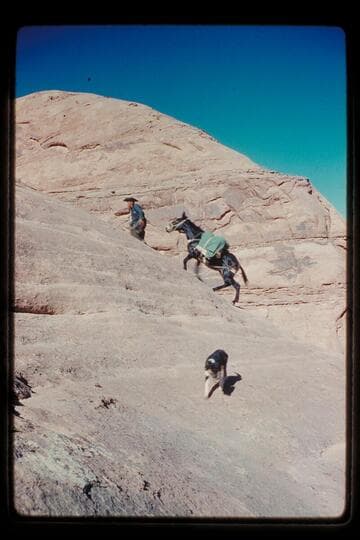 On trail out of Moepitz Canyon