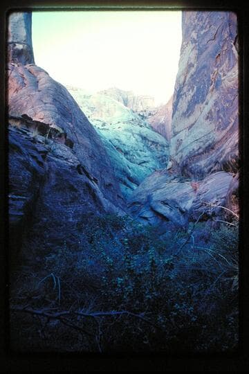 Head, Moepitz Canyon
