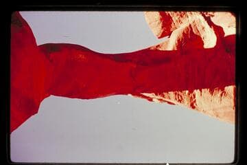 Owl Bridge from beneath