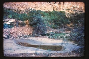 Pool in cave at head of Moepitz Canyon