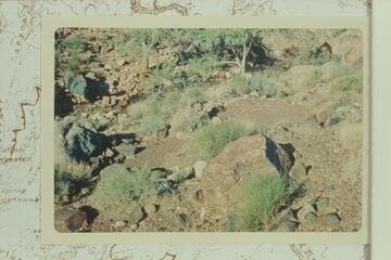 Indian Site west of Flint Creek mouth
