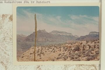 Isis, Shiva, and Dragons Head from Sumner