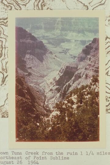 Down Tuna Creek from the ruin 1 1/4 miles northeast of Point Sublime