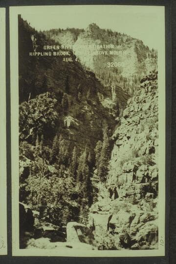 Green River Investigation:  Rippling Brook, 1/4 Mile above Mouth