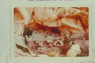 Bass Camp at Mystic Spring