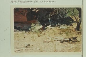 Bass Camp in Shinumo Creek