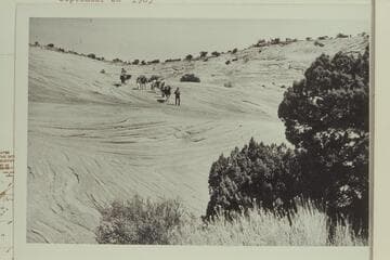 Horsethief Trail down into Bluejohn Canyon