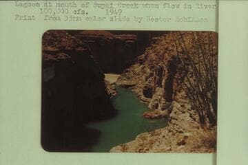 Lagoon at mouth of Supai Creek when flow in river exceeds 100,000 cfs
