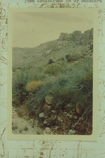 North along east side of National Canyon