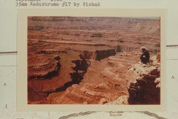 140 Mile Canyon from Great Thumb Mesa