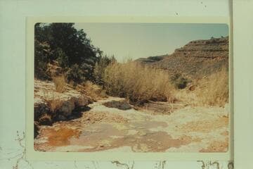 Spring on top of Redwall in Granite Park Canyon