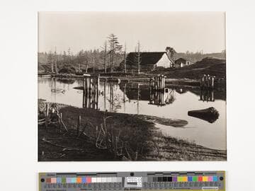 Little River, North Coast