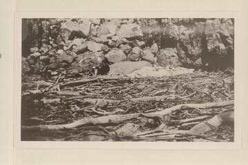Bessie Hyde at the last camp near Granite Park, Grand Canyon.  Thanksgiving Day.  Print from film roll found in the Hyde camera in the scow at Gneiss Rapid, Mile 237.The camp was approximately Mile 211
