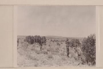 Grassy mountain from the road north of the town of Mt. Turnbull