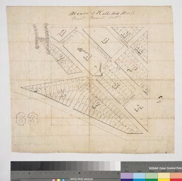 Mount Pleasant Tract