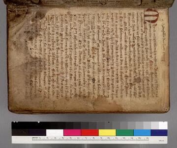 Sermones : [manuscript]