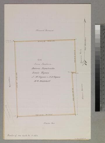 City, Juan Apoplasa, Dolores Sepulveda, Louis Vignes