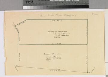Rancho San Pedro : S73 (partition of 1884-1885, report of referees) - Guadalupe Domínguez parcels