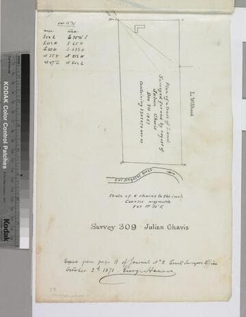 Survey 309 Julian Chavis