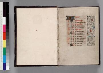 Book of Hours, use of Rome : [manuscript]