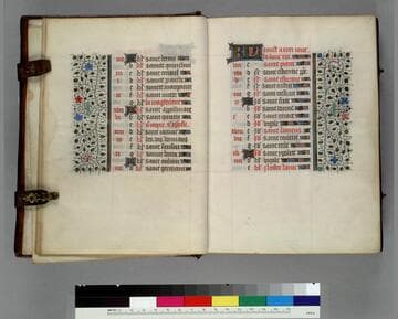 Book of Hours, use of Amiens : [manuscript]