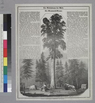 The Miner's Ten Commandments