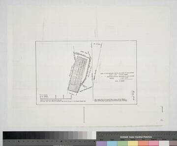 Vineyard of Mr. Estevan Foster situate in the vicinity and South of the City of Los Angeles