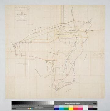 Map of the Rancho San Pedro showing the partition made by the decree of 1st Jud. Dist. Court of date Dec. 14, 1855