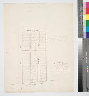 Map of the Consuelo & Brodrick subdivisions of the Celis Vineyard Tract