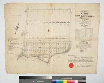 Map of the Rancho of New San Pedro showing the proposed Subdivision