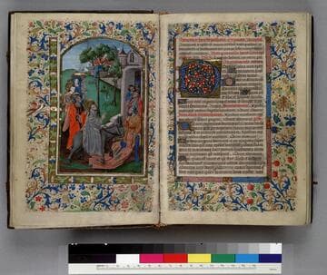 Book of Hours : [manuscript]