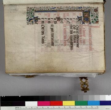 Book of Hours, undetermined use : [manuscript]
