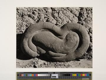 Sandstone Concretion, Salton Sea