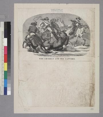 The Grizzly and His Captors