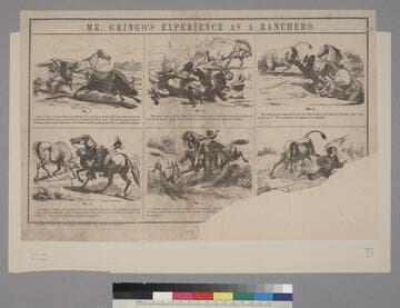 Mr. Gringo’s Experience as a Ranchero