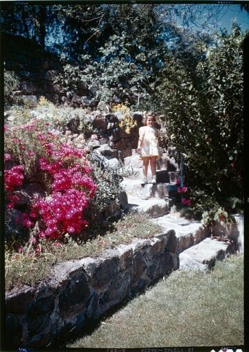 [Children and families]