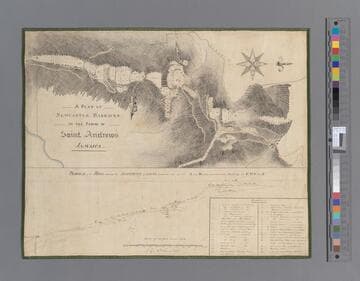 A plan of Newcastle Barracks in the parish of Saint Andrews, Jamaica. [cartographic material]