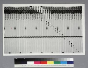 Series of photographs showing a missile shooting upwards