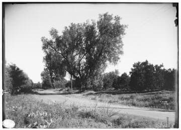 Southern California Views